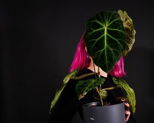 Preview wallpaper girl, plant, pot