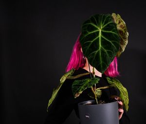Preview wallpaper girl, plant, pot