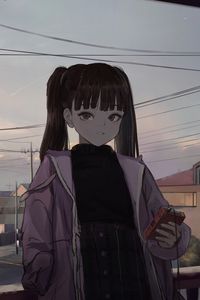 Preview wallpaper girl, ponytails, jacket, twilight, anime