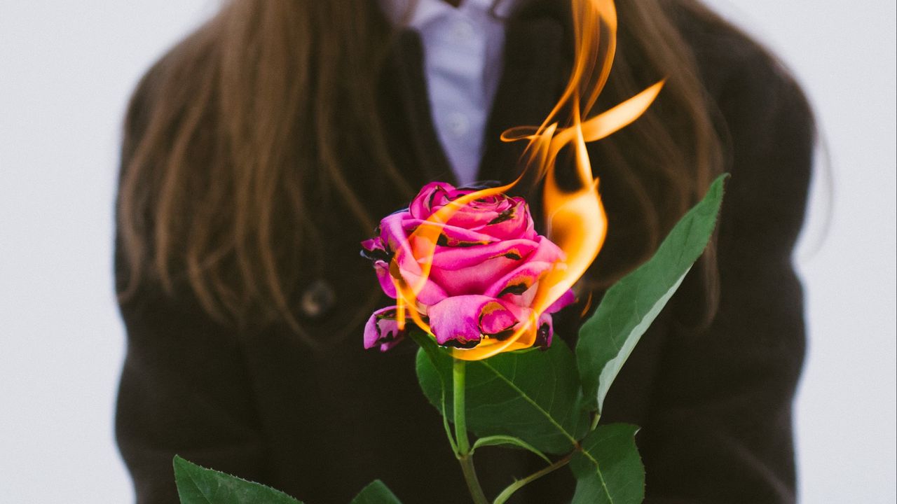 Wallpaper girl, rose, flower, fire, hands, flame