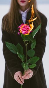 Preview wallpaper girl, rose, flower, fire, hands, flame