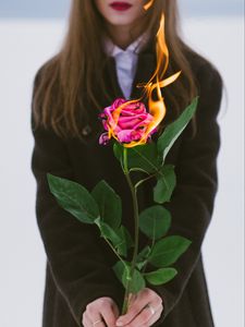 Preview wallpaper girl, rose, flower, fire, hands, flame