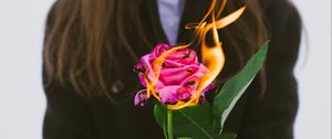 Preview wallpaper girl, rose, flower, fire, hands, flame