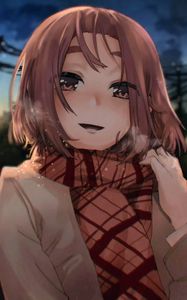 Preview wallpaper girl, scarf, anime