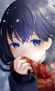 Preview wallpaper girl, scarf, snow, anime