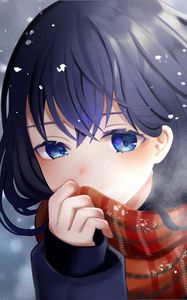 Preview wallpaper girl, scarf, snow, anime
