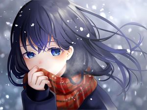 Preview wallpaper girl, scarf, snow, anime