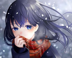 Preview wallpaper girl, scarf, snow, anime