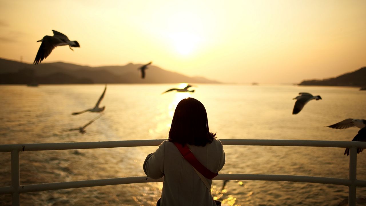 Wallpaper girl, ship, sailing, sunset, sun, sea gulls, landscape