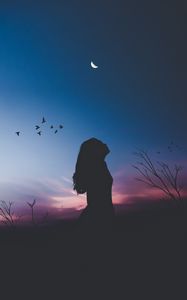 Preview wallpaper girl, silhouette, moon, birds, night, harmony, loneliness