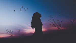 Preview wallpaper girl, silhouette, moon, birds, night, harmony, loneliness