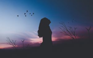 Preview wallpaper girl, silhouette, moon, birds, night, harmony, loneliness