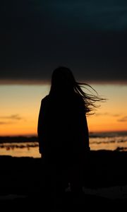 Preview wallpaper girl, silhouette, night, hair, wind