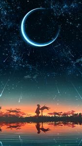 Preview wallpaper girl, silhouette, sunset, moon, stars, art