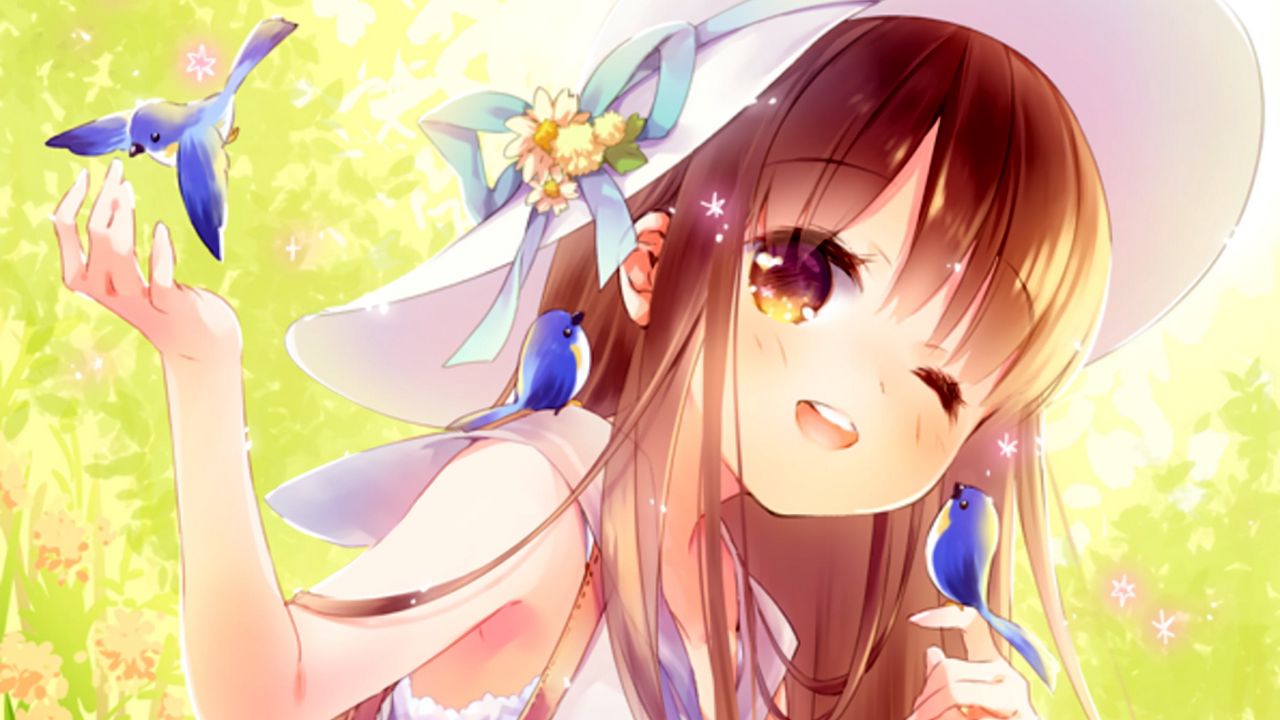 Wallpaper girl, smile, birds, anime, art