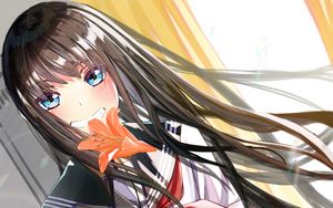 Preview wallpaper girl, smile, lilies, flowers, anime