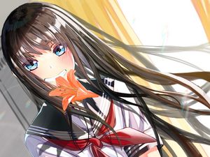 Preview wallpaper girl, smile, lilies, flowers, anime