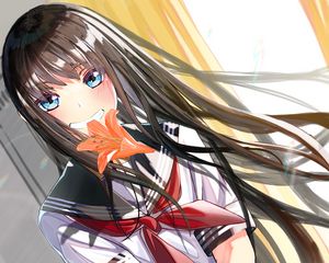 Preview wallpaper girl, smile, lilies, flowers, anime