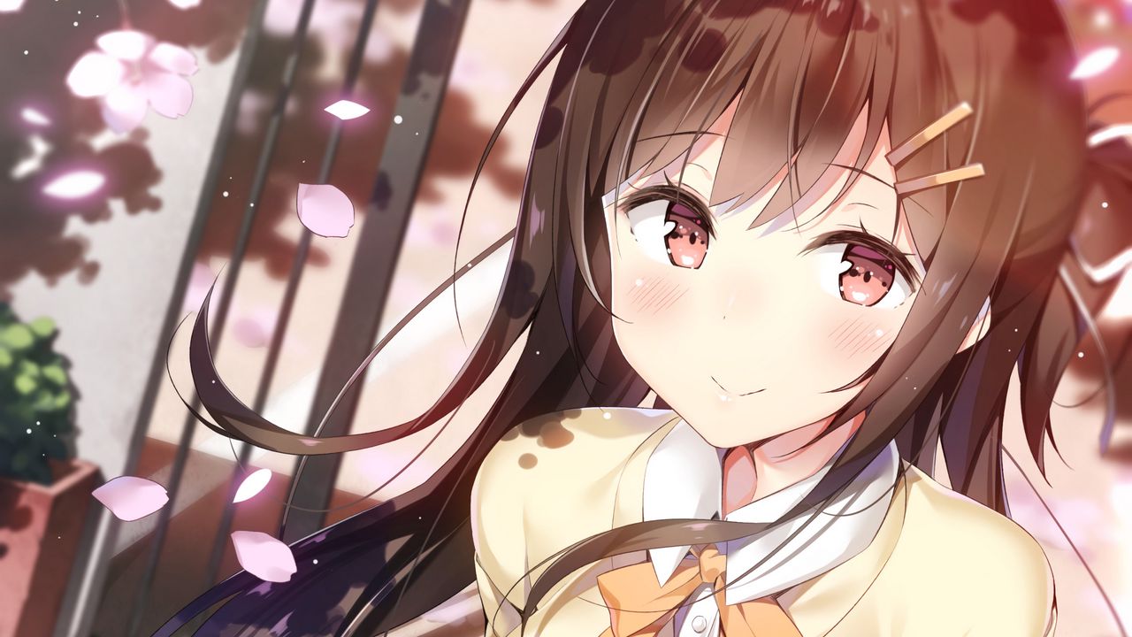 Wallpaper girl, smile, sweater, petals, anime hd, picture, image