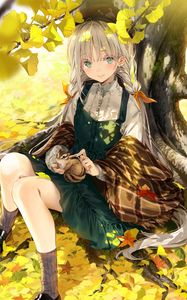 Preview wallpaper girl, squirrel, tree, leaves, branches, anime, art