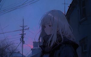 Preview wallpaper girl, sweater, evening, anime, blue