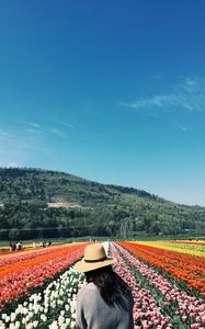 Preview wallpaper girl, tulips, flowers, field, colorful