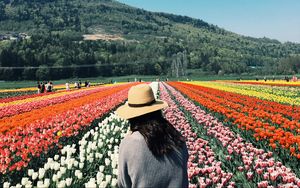 Preview wallpaper girl, tulips, flowers, field, colorful