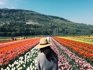 Preview wallpaper girl, tulips, flowers, field, colorful