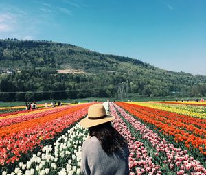 Preview wallpaper girl, tulips, flowers, field, colorful