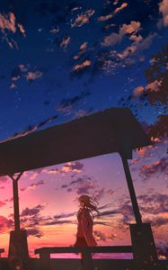 Preview wallpaper girl, twilight, clouds, anime