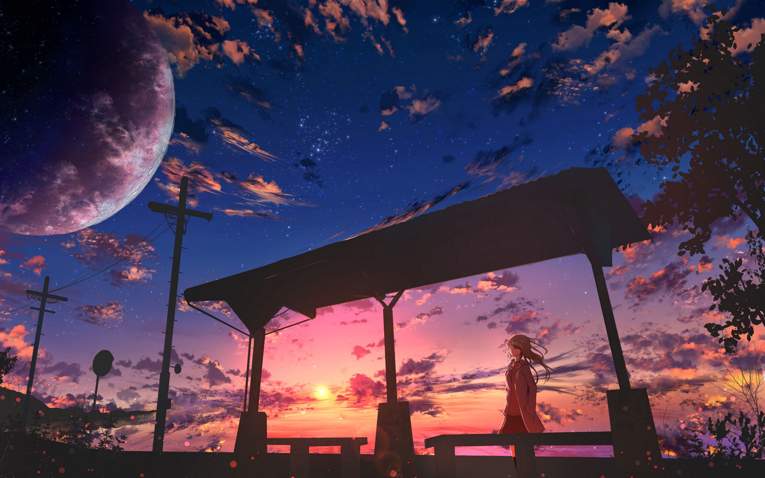 Download Wallpaper 2560x1600 Girl Twilight Clouds Anime Widescreen 16 10 Hd Background