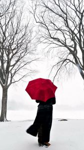 Preview wallpaper girl, umbrella, cherry, snow, japan