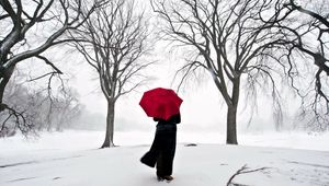 Preview wallpaper girl, umbrella, cherry, snow, japan