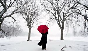 Preview wallpaper girl, umbrella, cherry, snow, japan