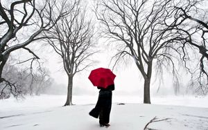 Preview wallpaper girl, umbrella, cherry, snow, japan