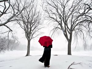 Preview wallpaper girl, umbrella, cherry, snow, japan