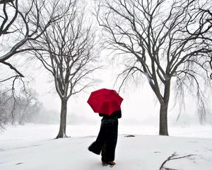 Preview wallpaper girl, umbrella, cherry, snow, japan