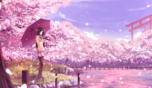 Preview wallpaper girl, umbrella, sakura, anime, art, cartoon