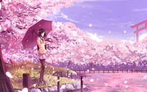 Preview wallpaper girl, umbrella, sakura, anime, art, cartoon