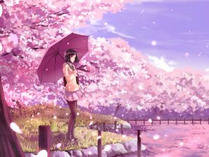 Preview wallpaper girl, umbrella, sakura, anime, art, cartoon