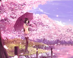 Preview wallpaper girl, umbrella, sakura, anime, art, cartoon