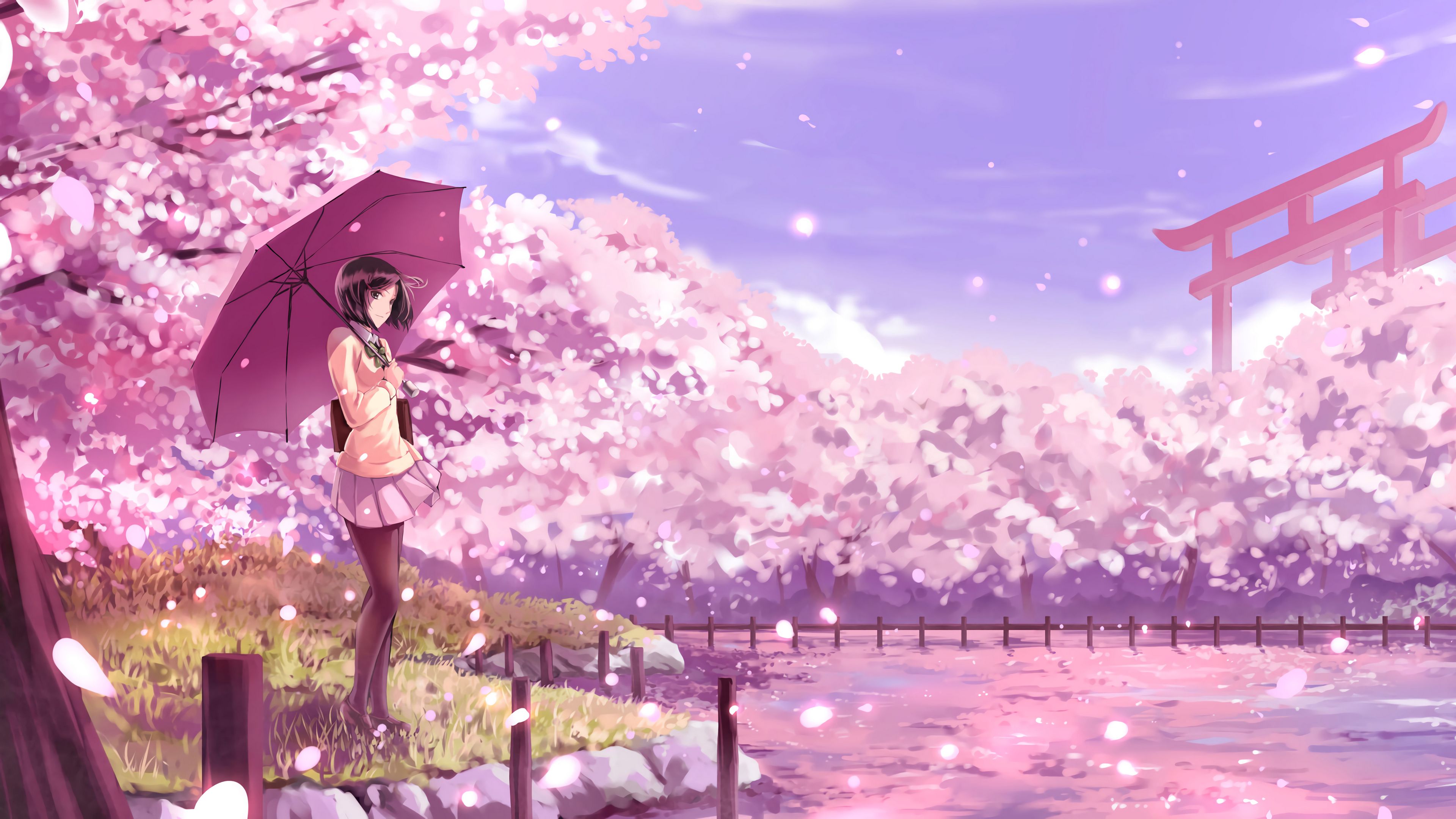 Download wallpaper 3840x2160 girl, umbrella, sakura, anime, art, cartoon 4k  uhd 16:9 hd background