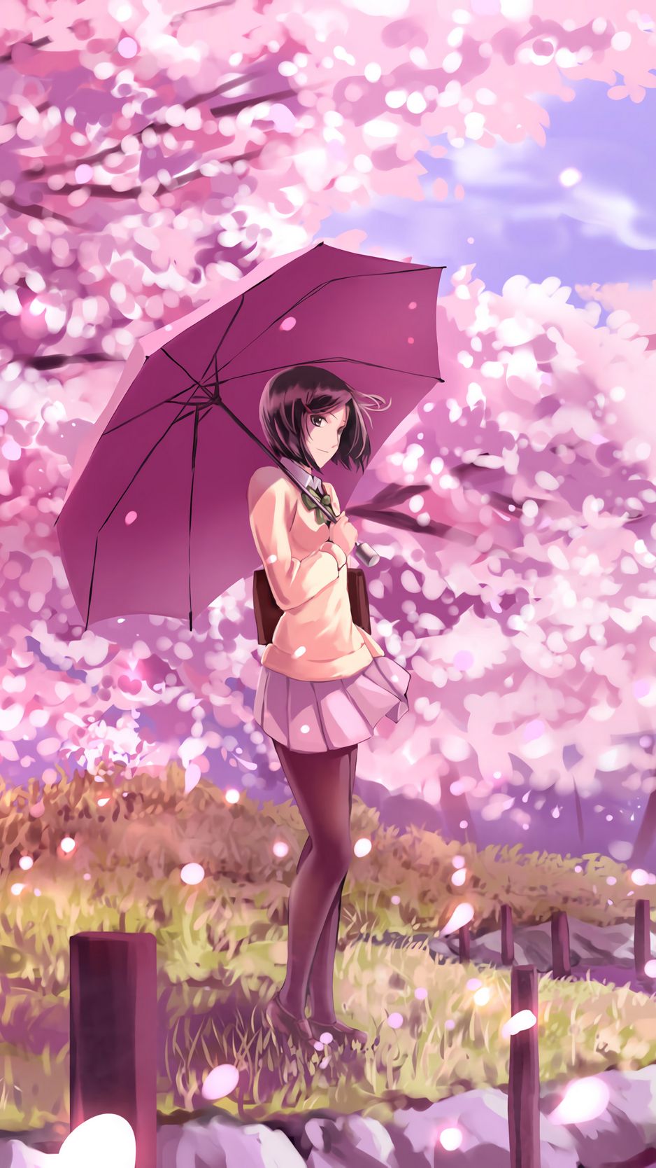 Anime Background Sakura Petaled Landscape with Sky Stock Illustration   Illustration of watercolor fantasy 279997067