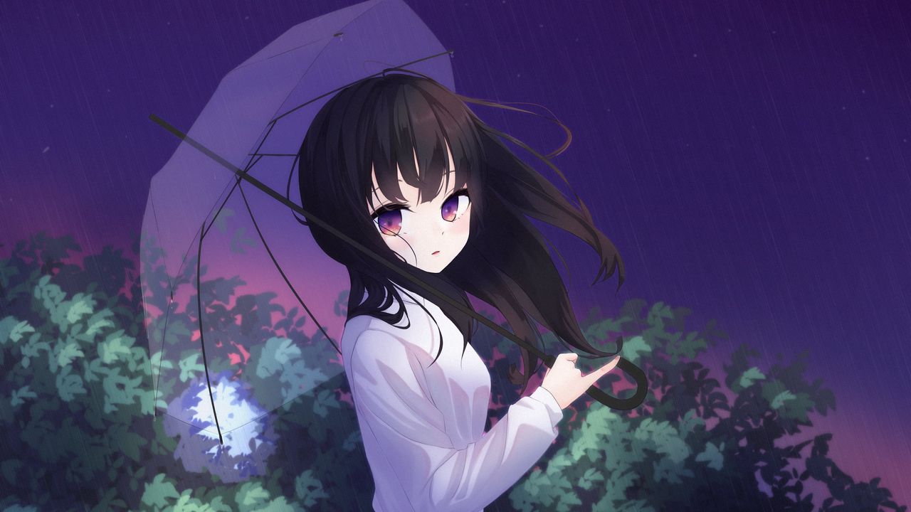 Wallpaper girl, umbrella, shirt, anime hd, picture, image