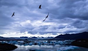 Preview wallpaper glacier, ice, lake, birds, landscape