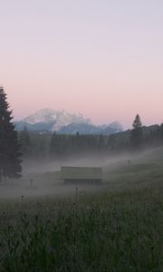 Preview wallpaper glade, forest, trees, house, fog, nature