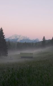 Preview wallpaper glade, forest, trees, house, fog, nature