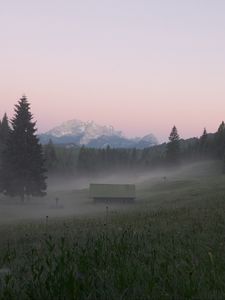 Preview wallpaper glade, forest, trees, house, fog, nature