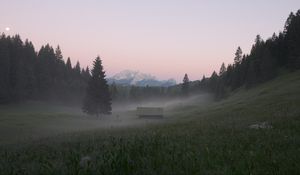 Preview wallpaper glade, forest, trees, house, fog, nature