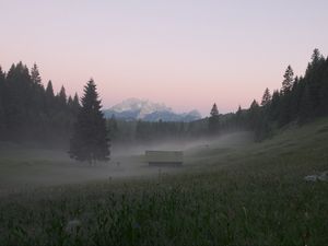 Preview wallpaper glade, forest, trees, house, fog, nature